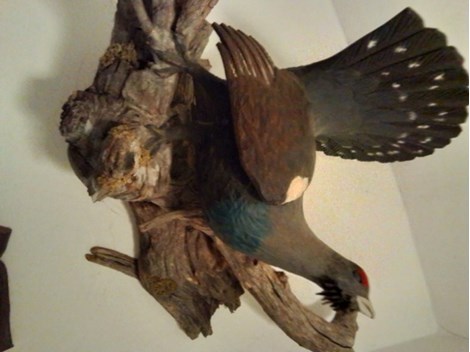 Handgeschnitzter Auerhahn