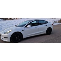 Tesla M3 Long Range AWD mit Anhängerkupplung 2