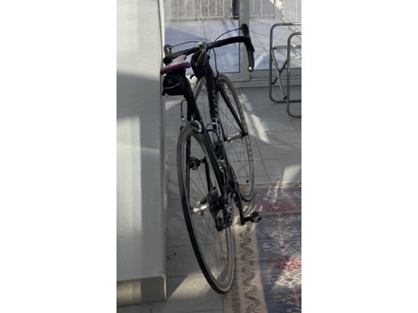 Colnago Primavera Colnago Primavera