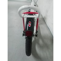 Roller für Erwachsene und Kinder 2
