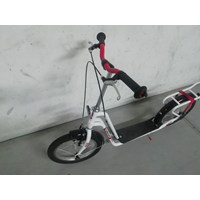 Roller für Erwachsene und Kinder 4