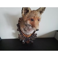 Fuchs Tierpräparat 2