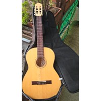Pro Natura Gitarre für Kinder abzugeben 2