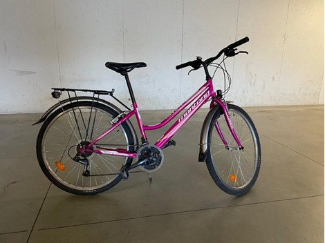 Kinder- Jugendfahrrad (26 Zoll) Kinder- Jugendfahrrad (26 Zoll)