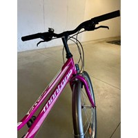 Kinder- Jugendfahrrad (26 Zoll) 2