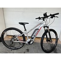 Corratec E-Power X Vert 29 Performance 500 4