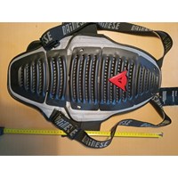 Dainese Ski & Motorrad Rückenprotektor Neu! 3