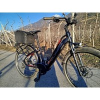 E-Bike Olympia Speedster 900 Tracking 2