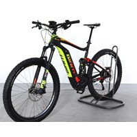 E-Bike Giant 2
