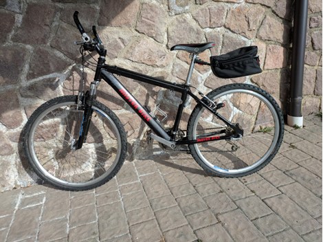 Damen Mountainbike