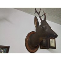 Geschnitzter Rehbock 2