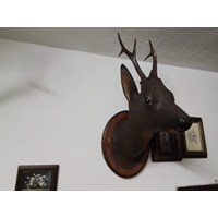 Geschnitzter Rehbock 3