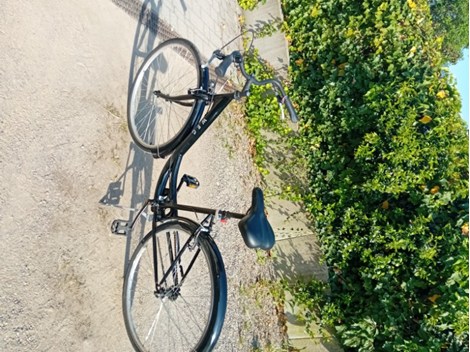 Verkaufe Damen Fahrrad