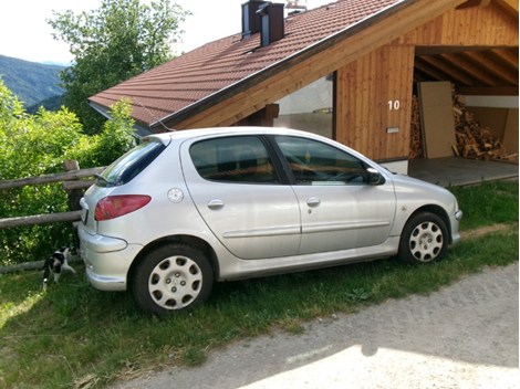 püscho 206