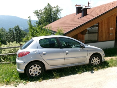 püscho 206