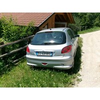 püscho 206 2