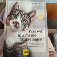Katzenbuch 3