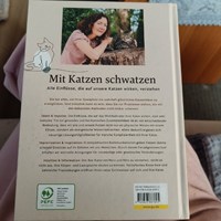 Katzenbuch 4