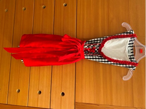 Dirndl von Landhaus Trachtenmode – Größe 34 inkl.
