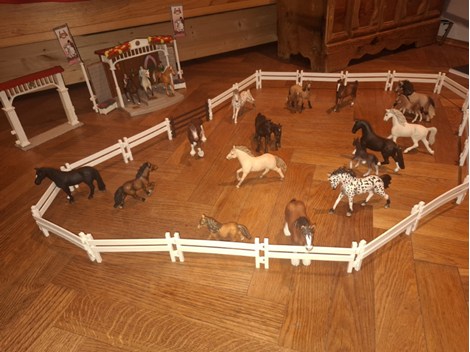 Großes Schleich Horse Club Paket