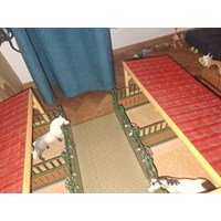 Großes Schleich Horse Club Paket 8