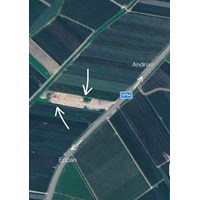 Obstwiese in Unterrain 3