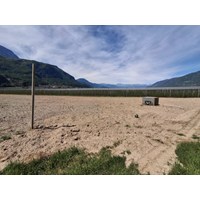 Obstwiese in Unterrain 4