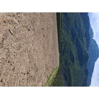 Obstwiese in Unterrain 6