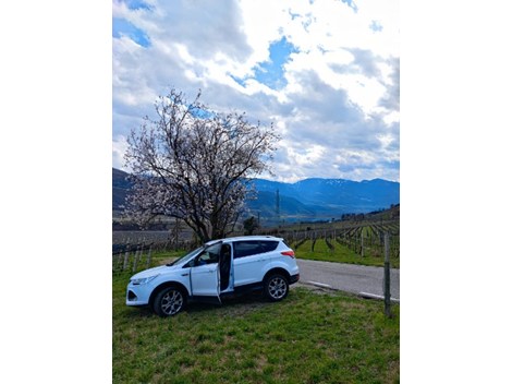 Ford Kuga mit Motorschaden