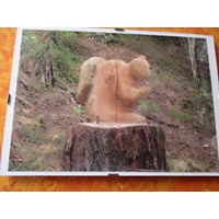 schöne Photobilder 2
