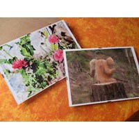 schöne Photobilder 3