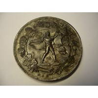 Medaille von 1886 Denke an Meran 2