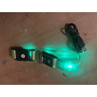 LED Halsband für Hunde aufladbar 3